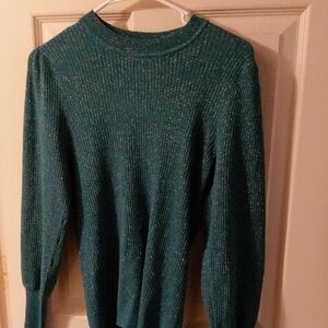 LOFT Women's Teal Crewneck Sweater